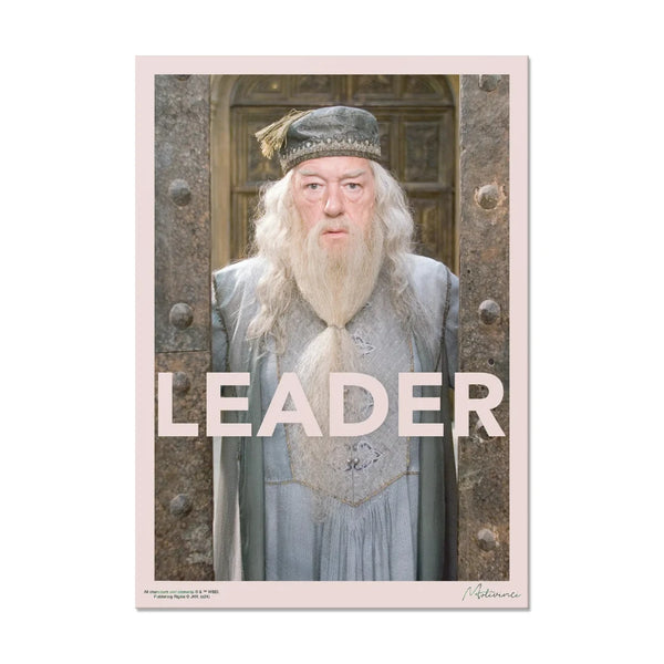 Harry Potter - Leader