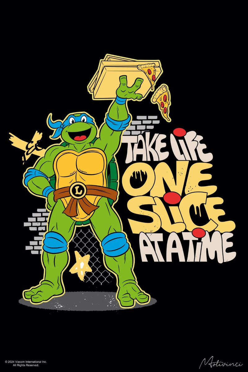 Teenage Ninja Turtle - One Slice